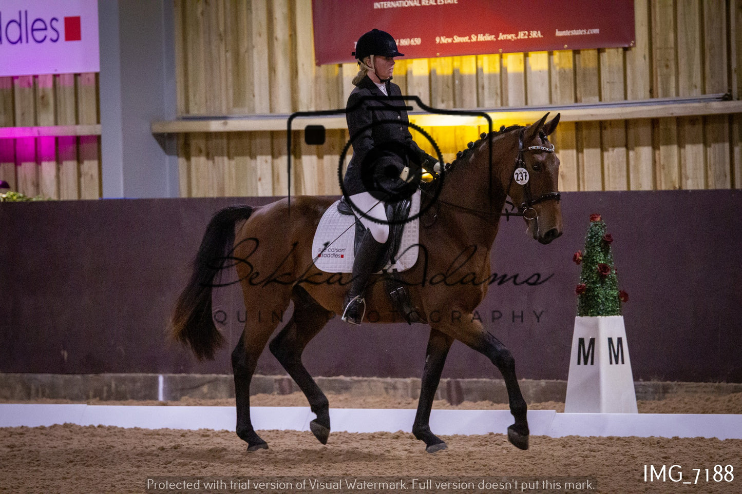 JHOYS Dressage