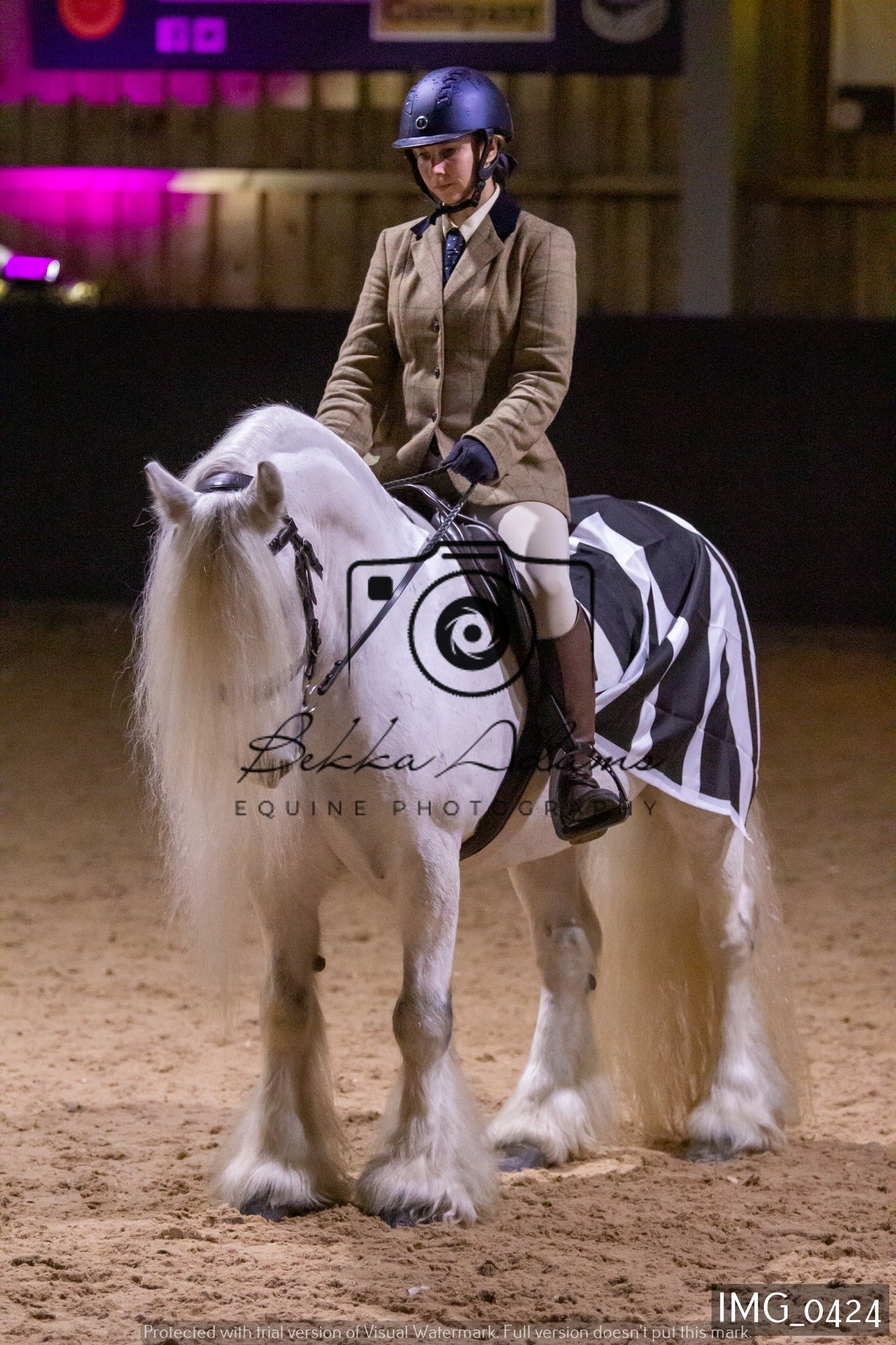 JHOYS Ridden Showing Group 1