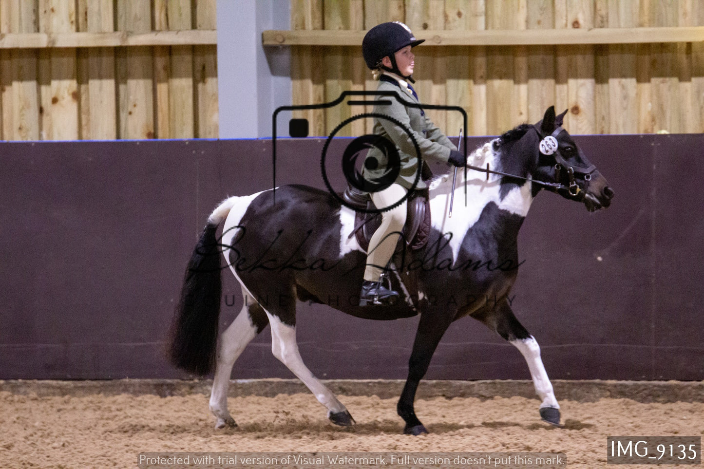 JHOYS Ridden Showing Group 1