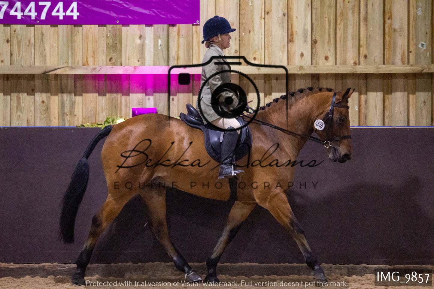 JHOYS Ridden Showing Group 2