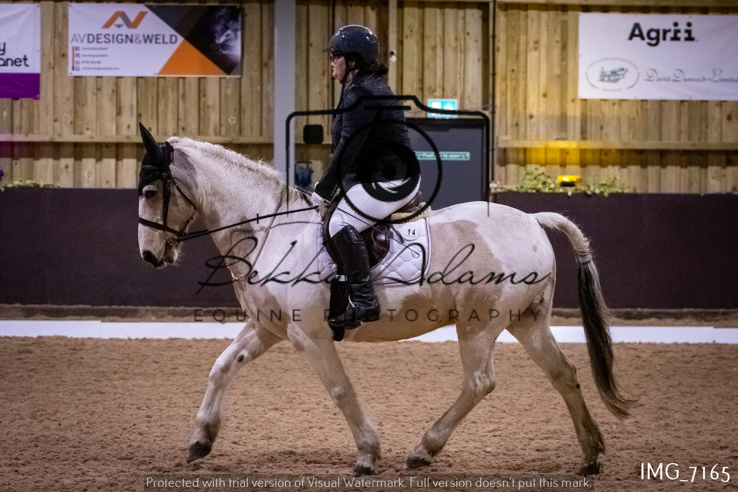JHOYS Dressage