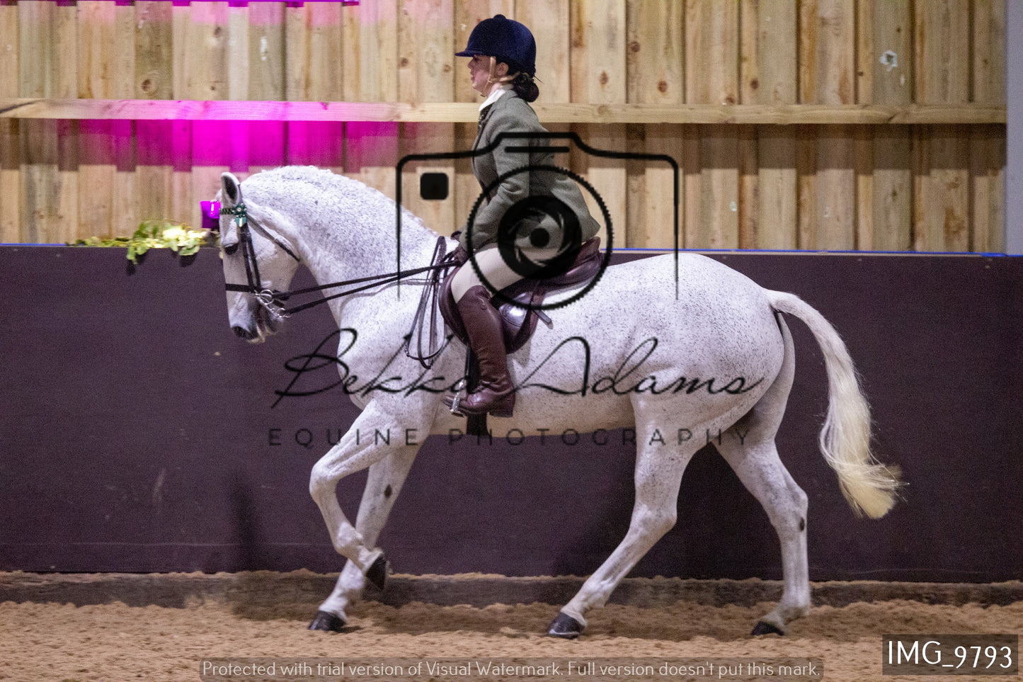 JHOYS Ridden Showing Group 2
