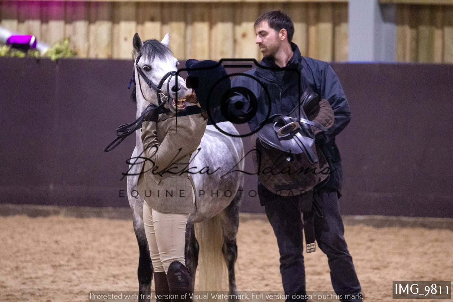 JHOYS Ridden Showing Group 2