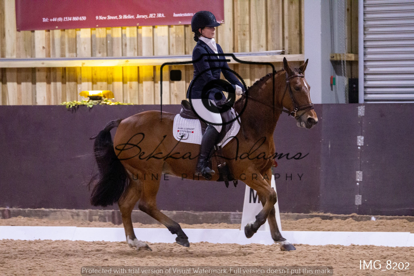 JHOYS Dressage