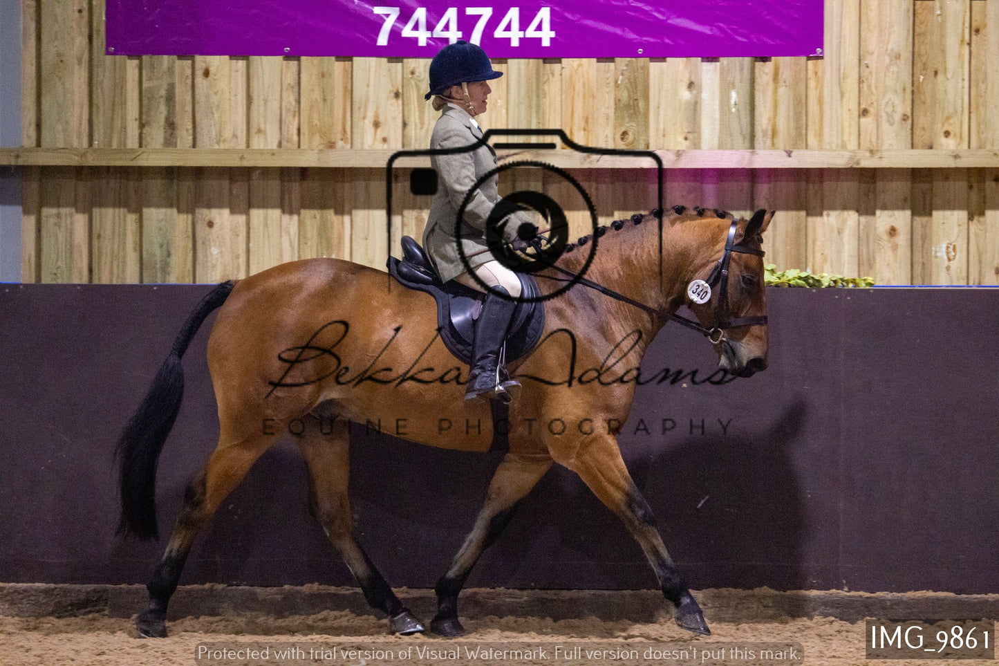 JHOYS Ridden Showing Group 2