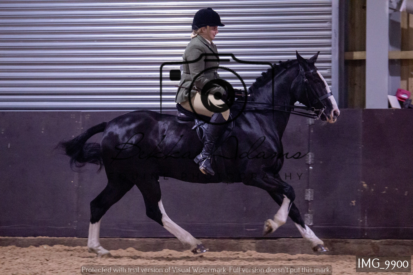 JHOYS Ridden Showing Group 2