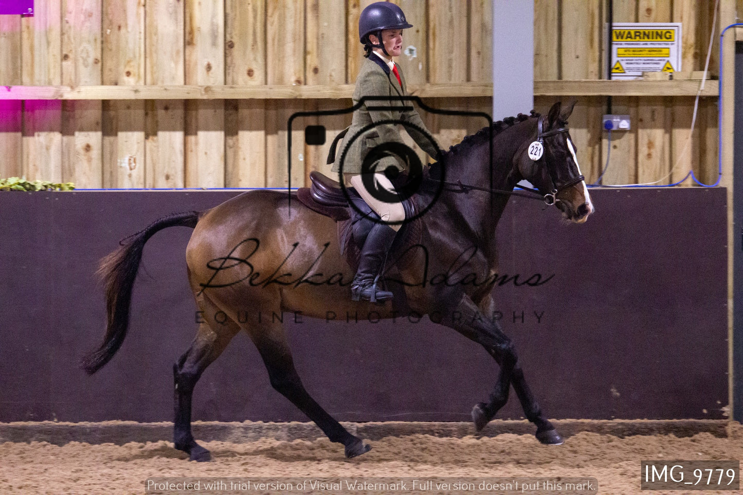 JHOYS Ridden Showing Group 2