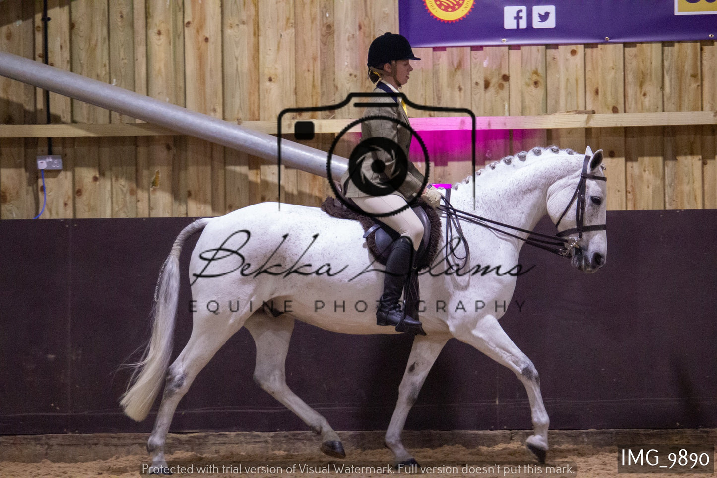 JHOYS Ridden Showing Group 2