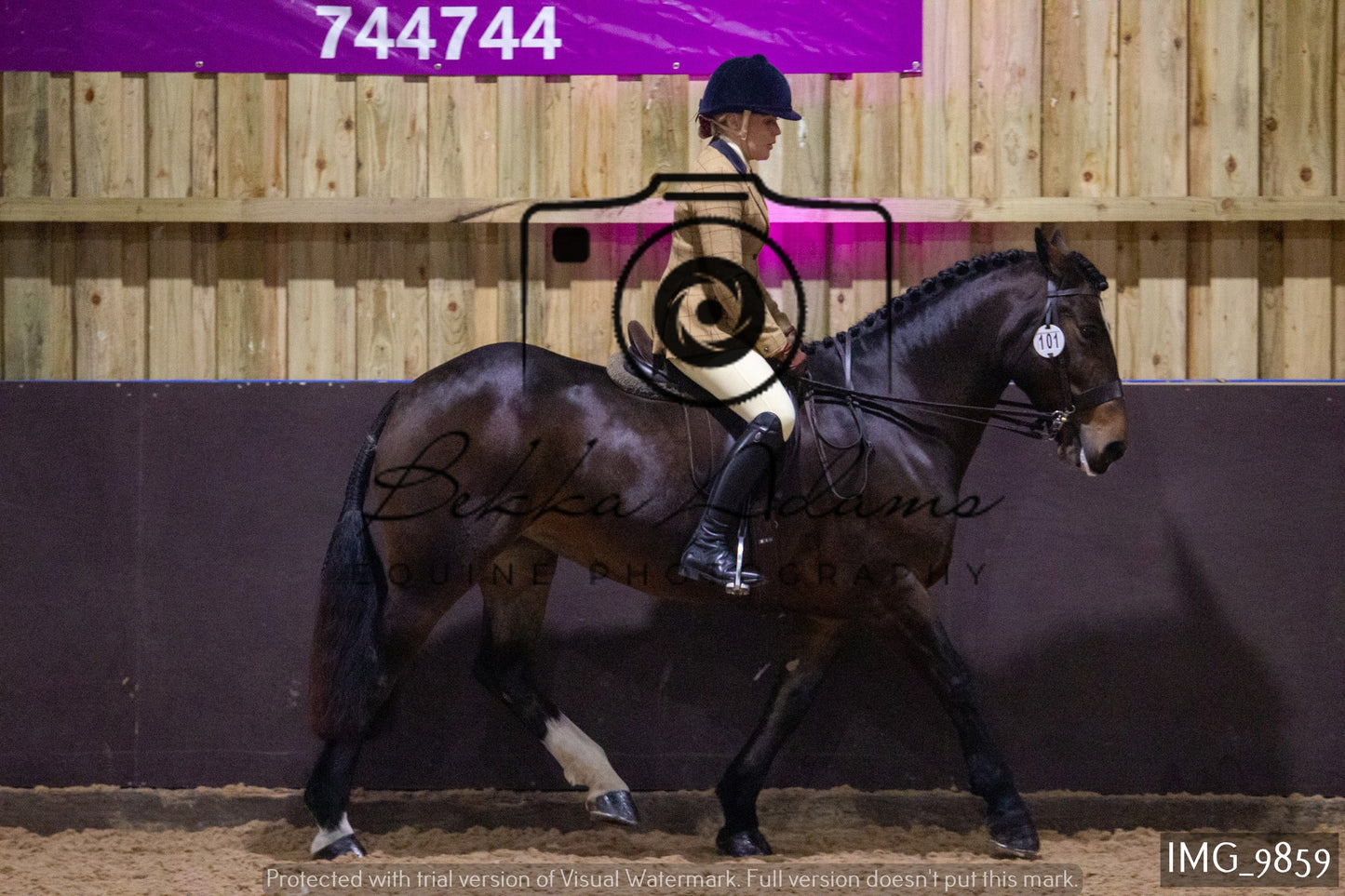 JHOYS Ridden Showing Group 2