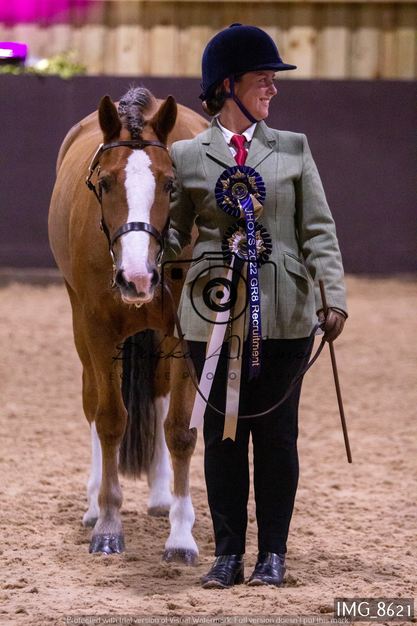 JHOYS In Hand Showing
