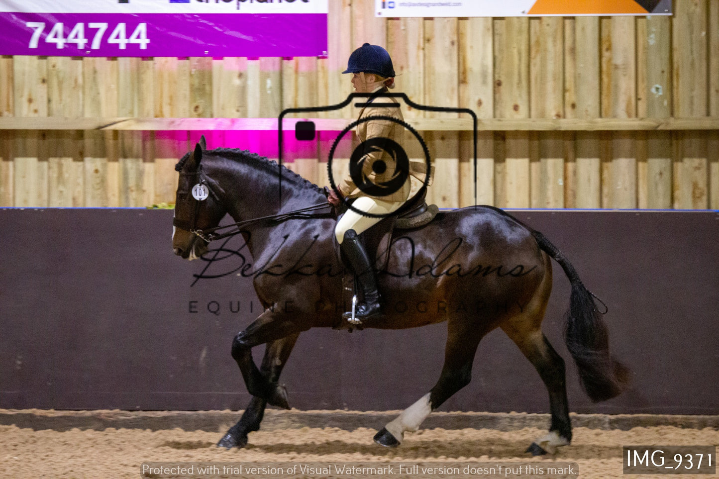 JHOYS Ridden Showing Group 1