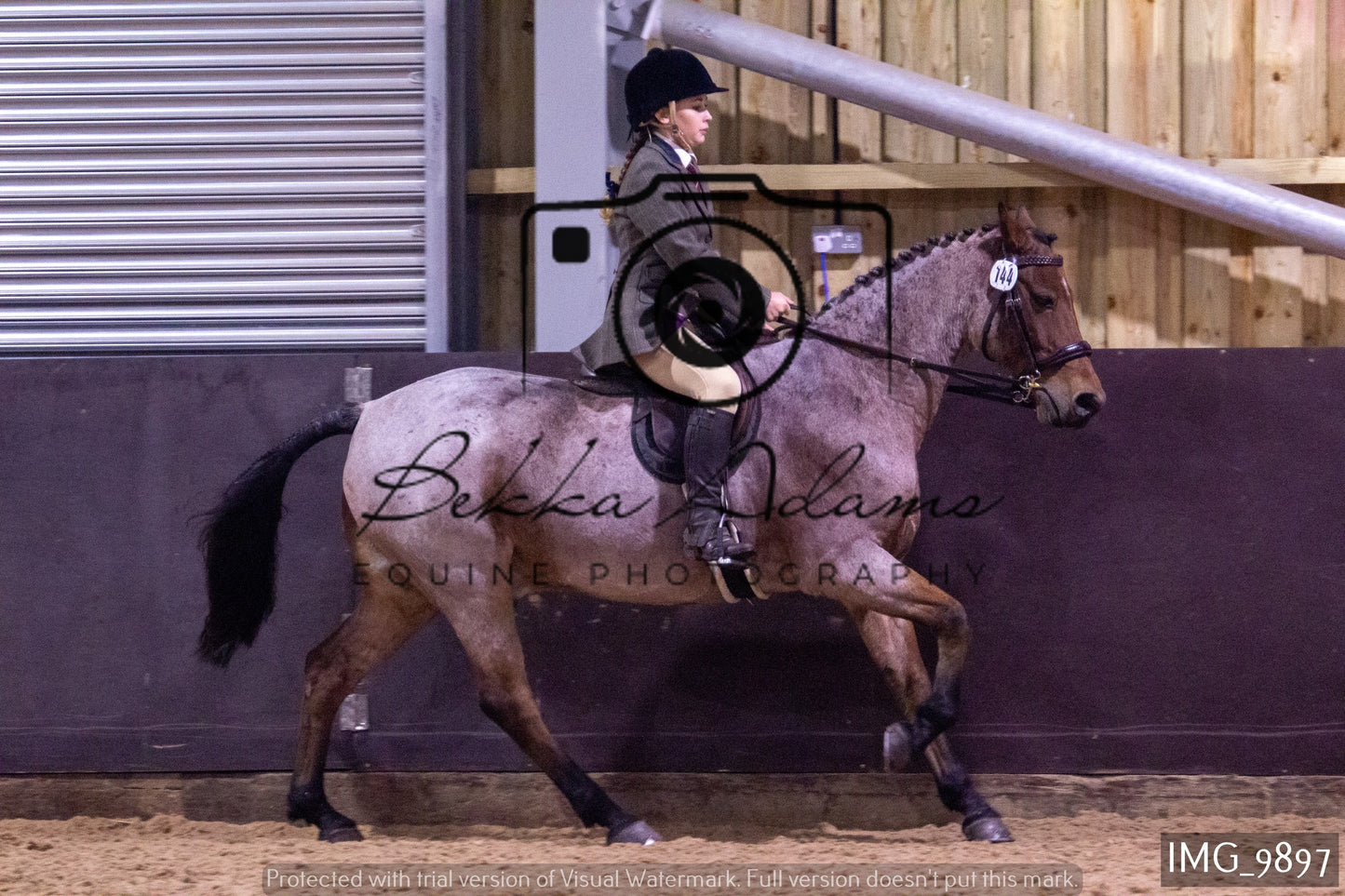 JHOYS Ridden Showing Group 2