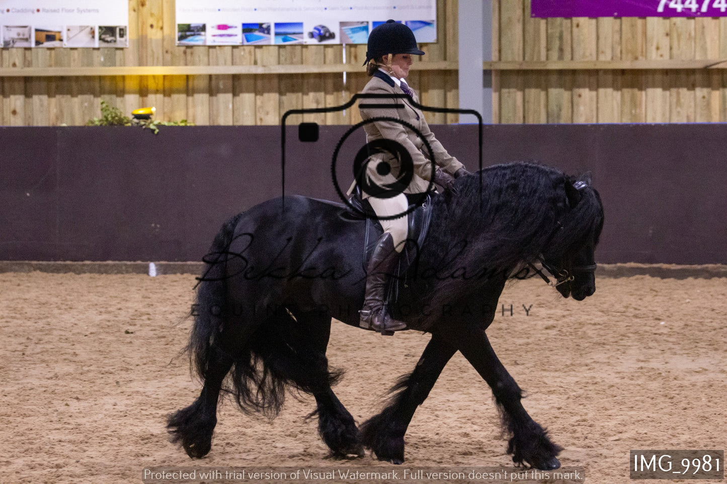 JHOYS Ridden Showing Group 2