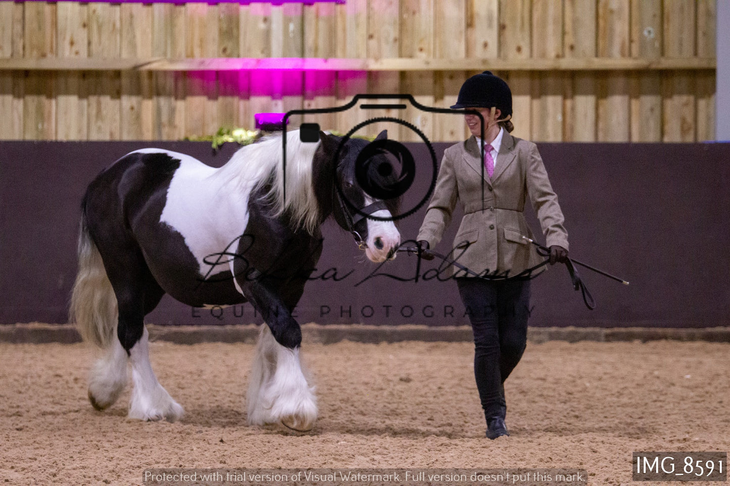 JHOYS In Hand Showing