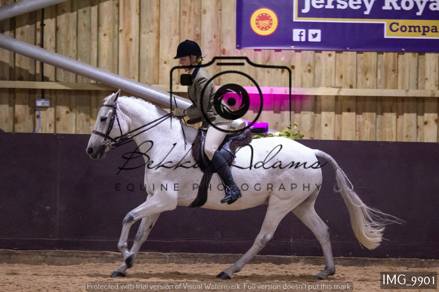 JHOYS Ridden Showing Group 2