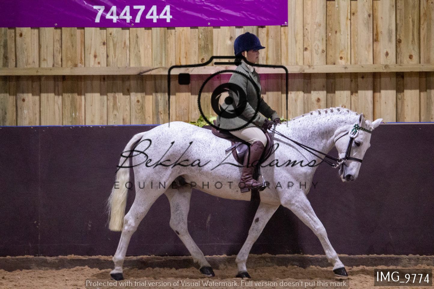 JHOYS Ridden Showing Group 2
