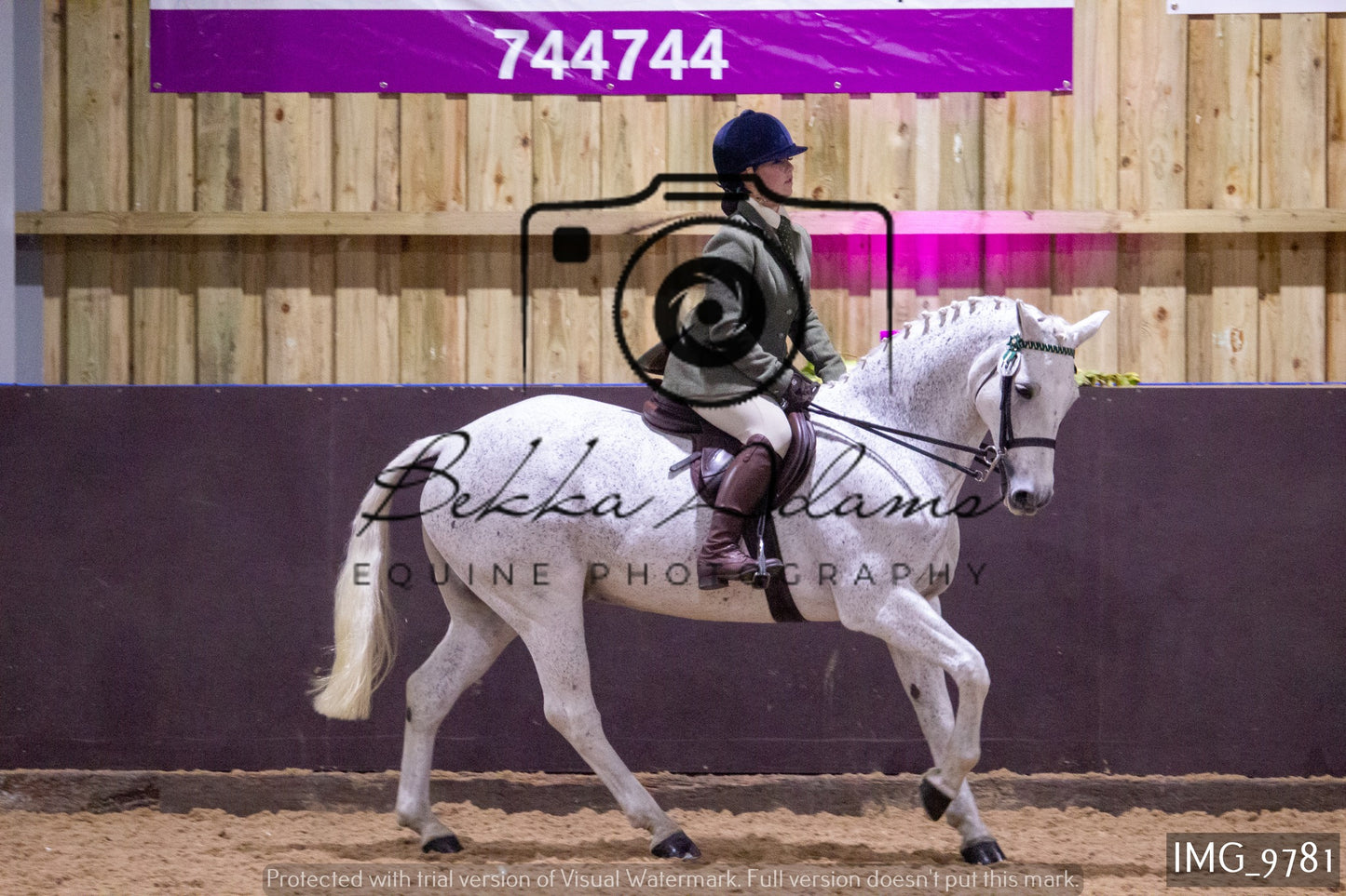 JHOYS Ridden Showing Group 2