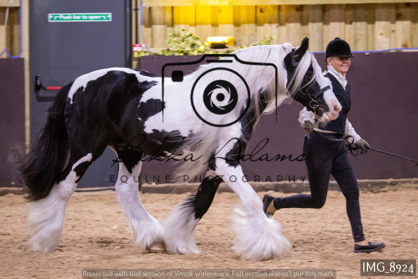 JHOYS In Hand Showing