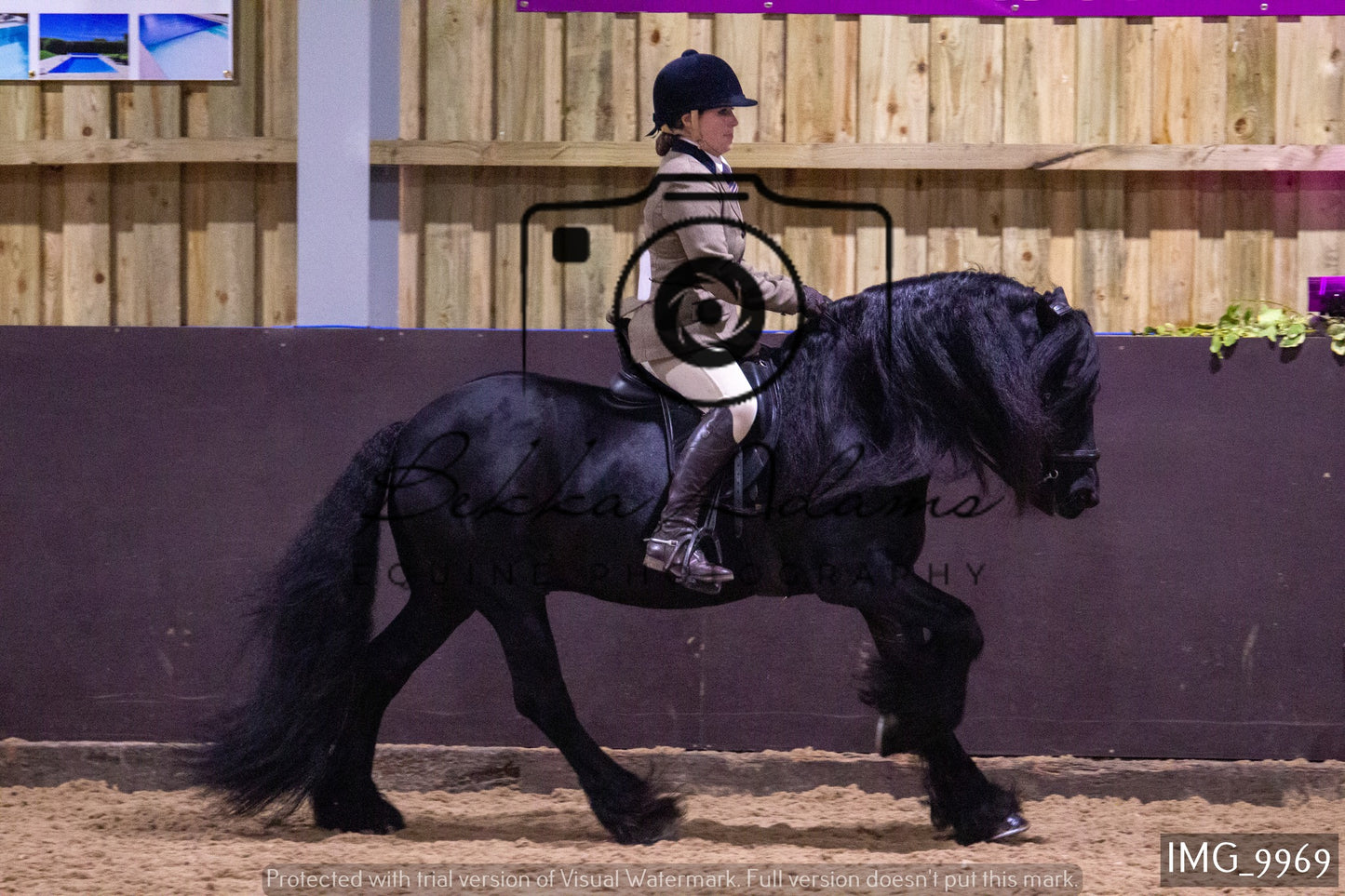 JHOYS Ridden Showing Group 2