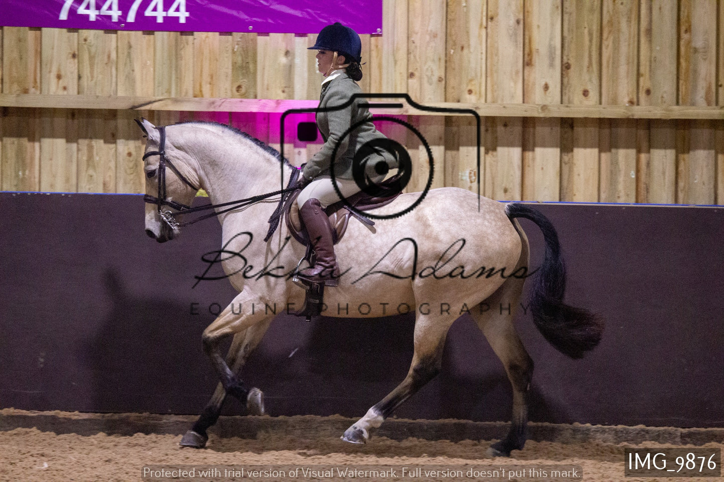 JHOYS Ridden Showing Group 2