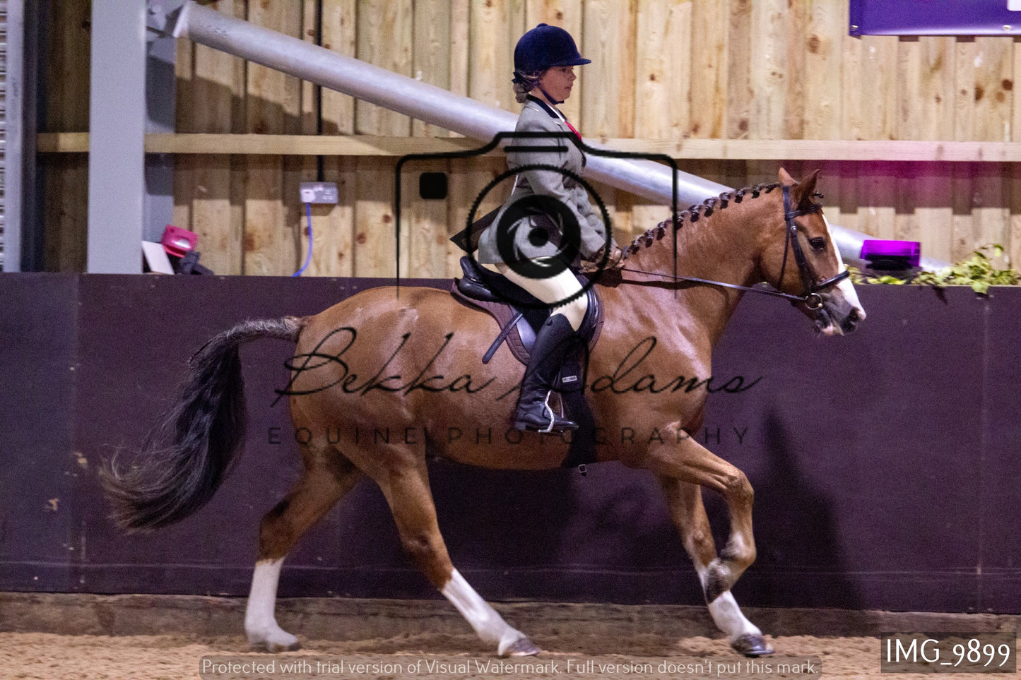 JHOYS Ridden Showing Group 2