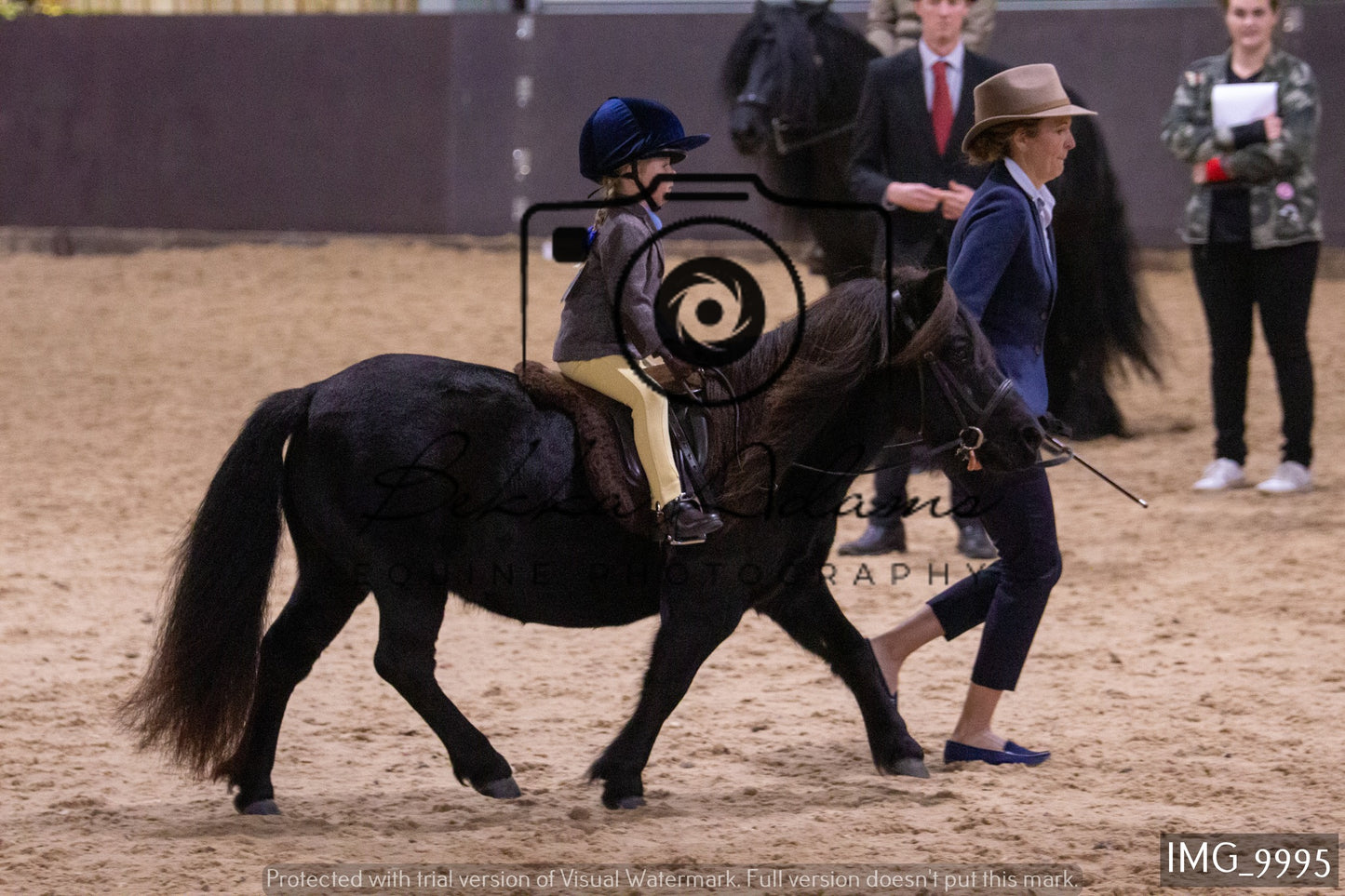 JHOYS Ridden Showing Group 2