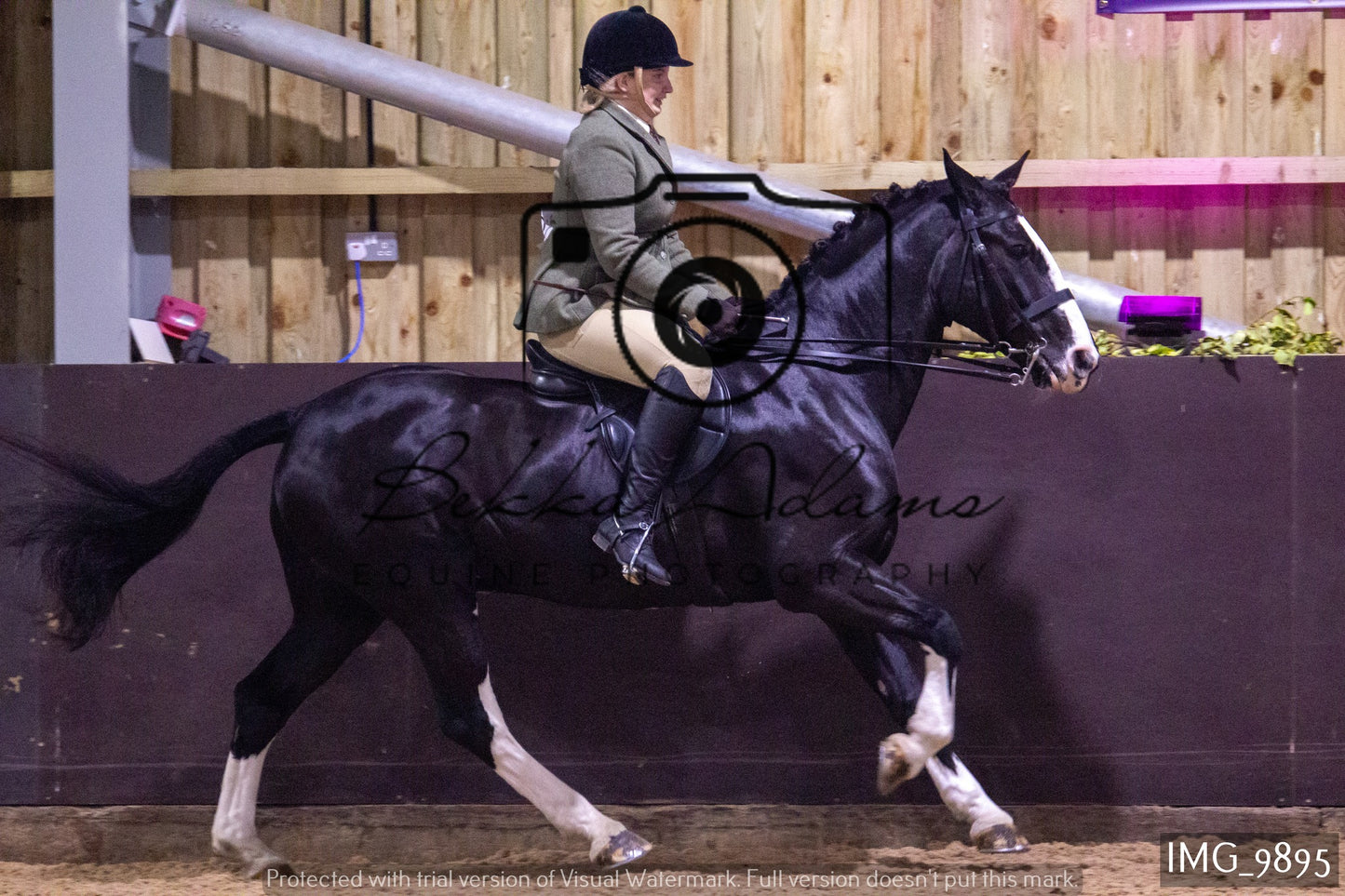 JHOYS Ridden Showing Group 2