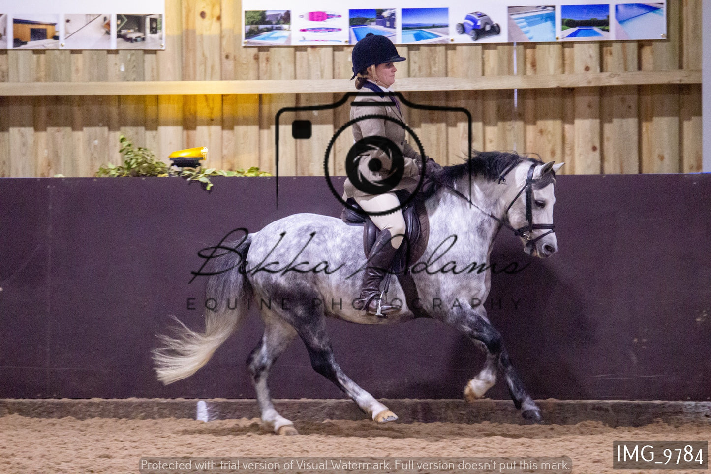 JHOYS Ridden Showing Group 2