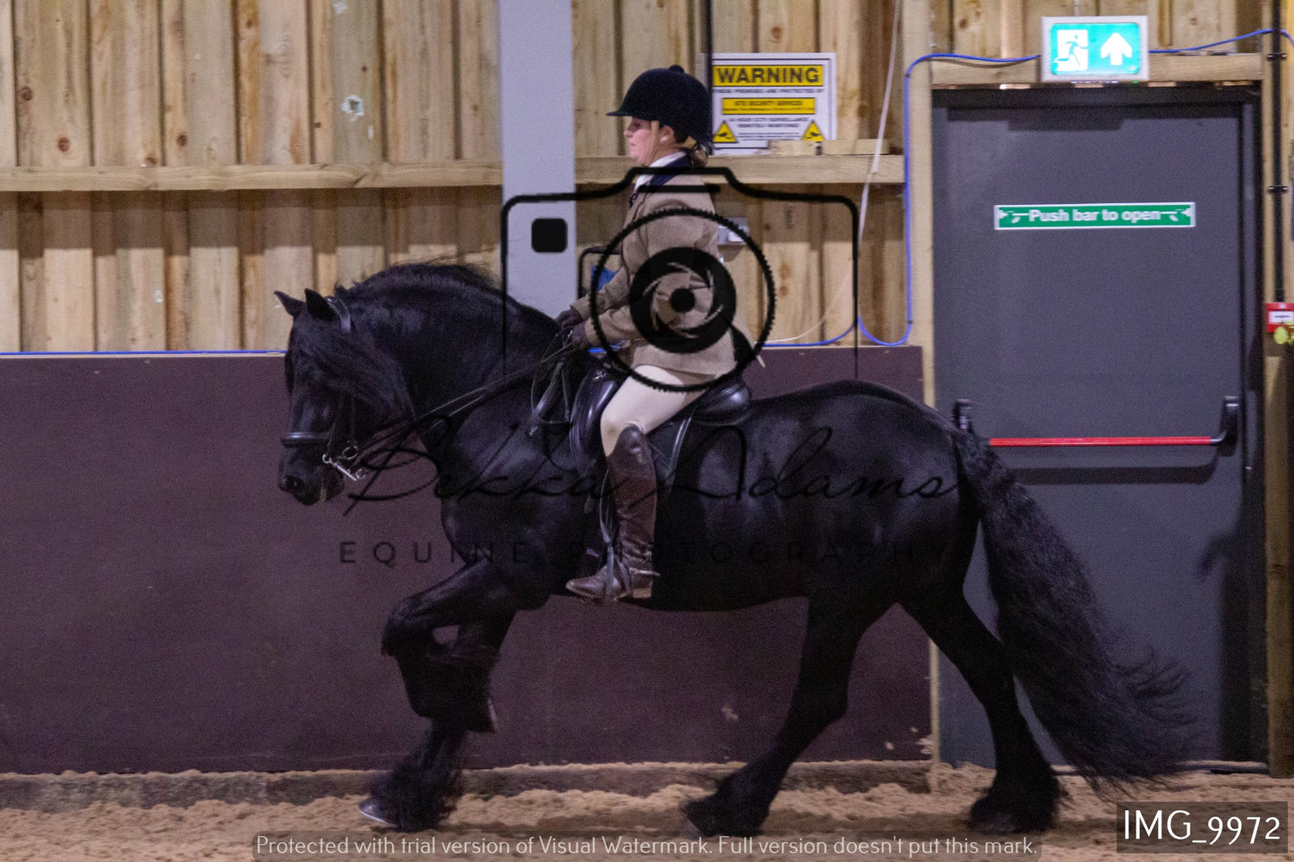 JHOYS Ridden Showing Group 2