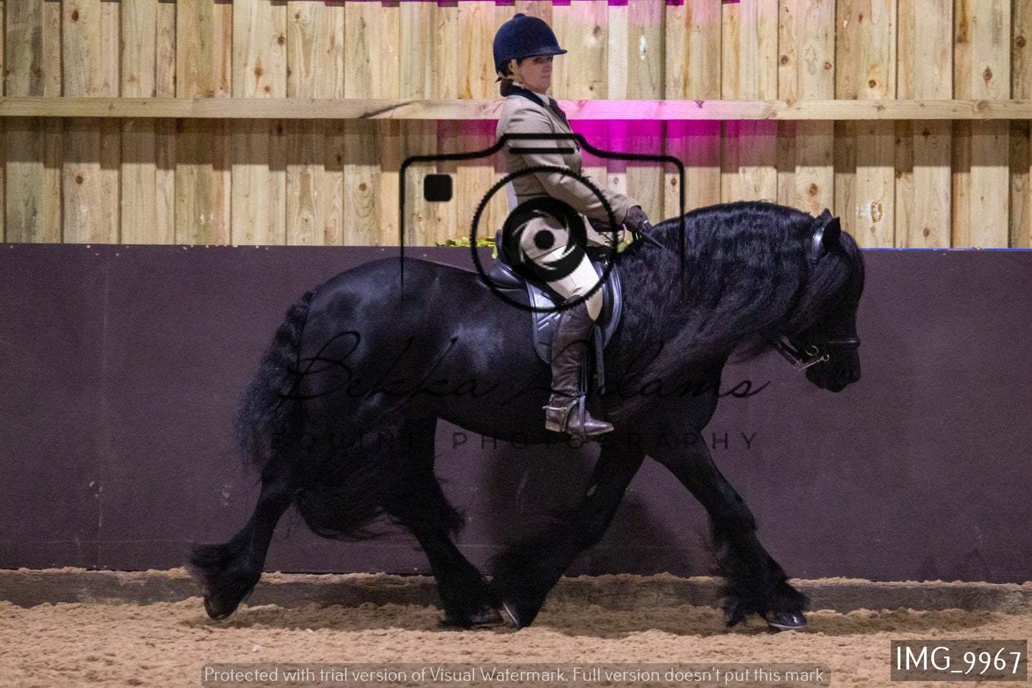 JHOYS Ridden Showing Group 2
