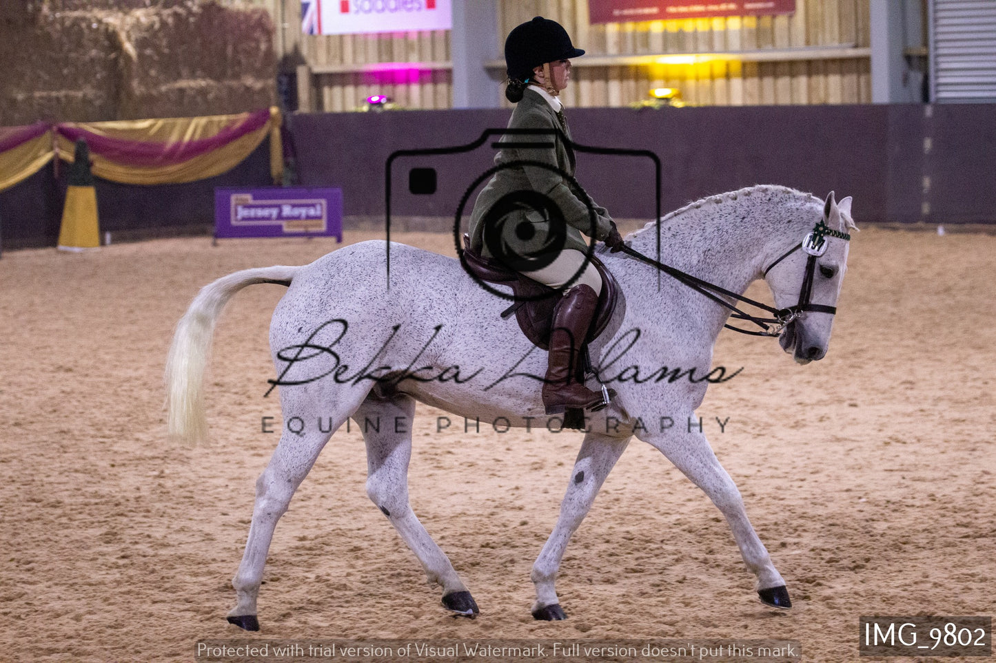 JHOYS Ridden Showing Group 2