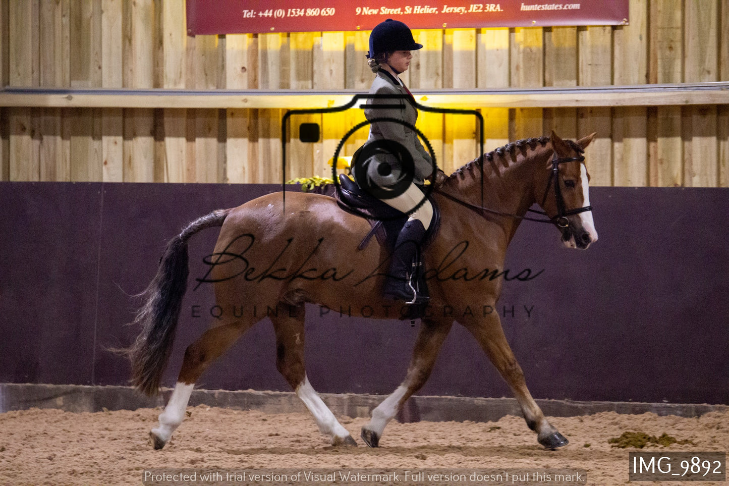 JHOYS Ridden Showing Group 2