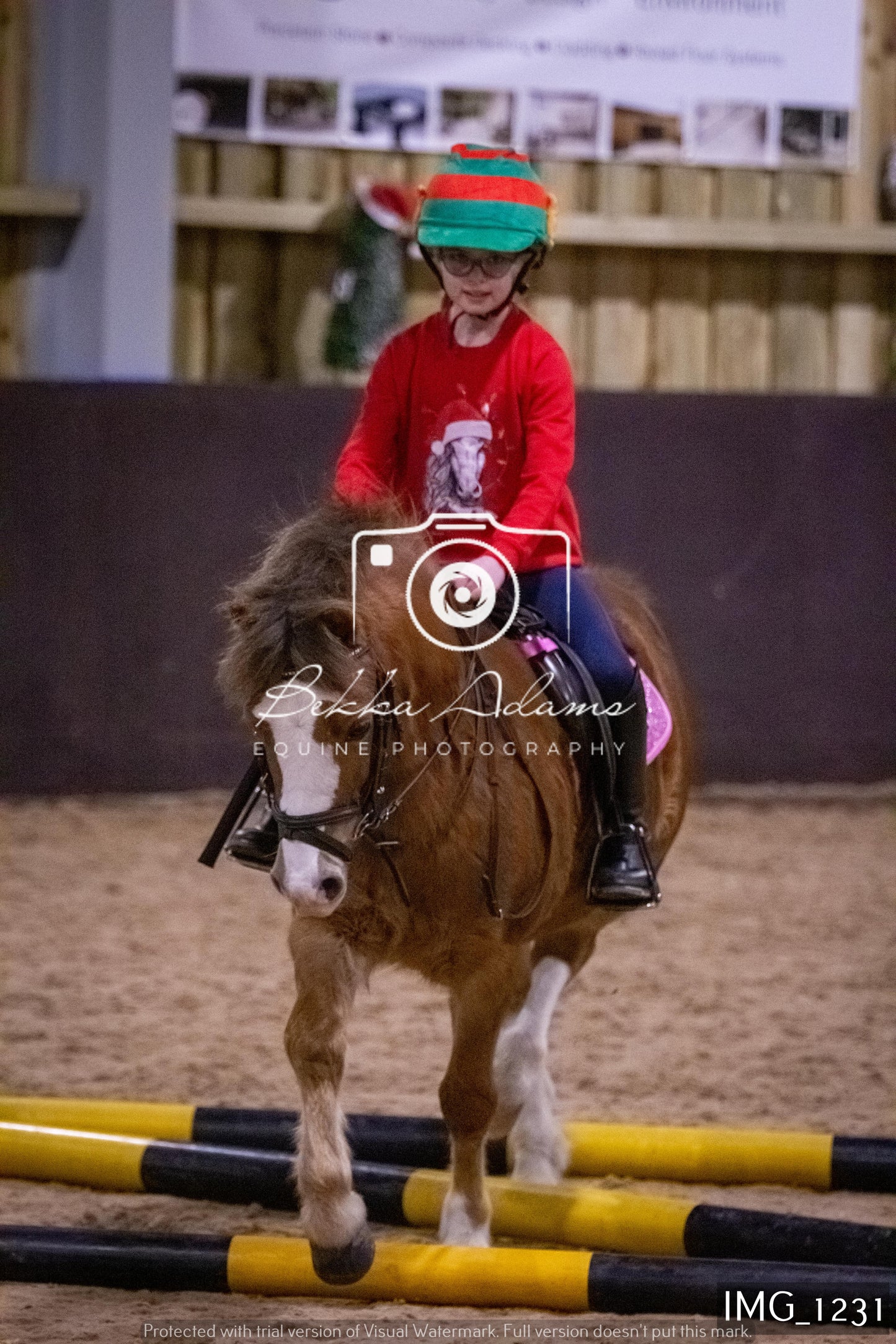 Home Farm New Year Showjumping 2nd January - Juniors
