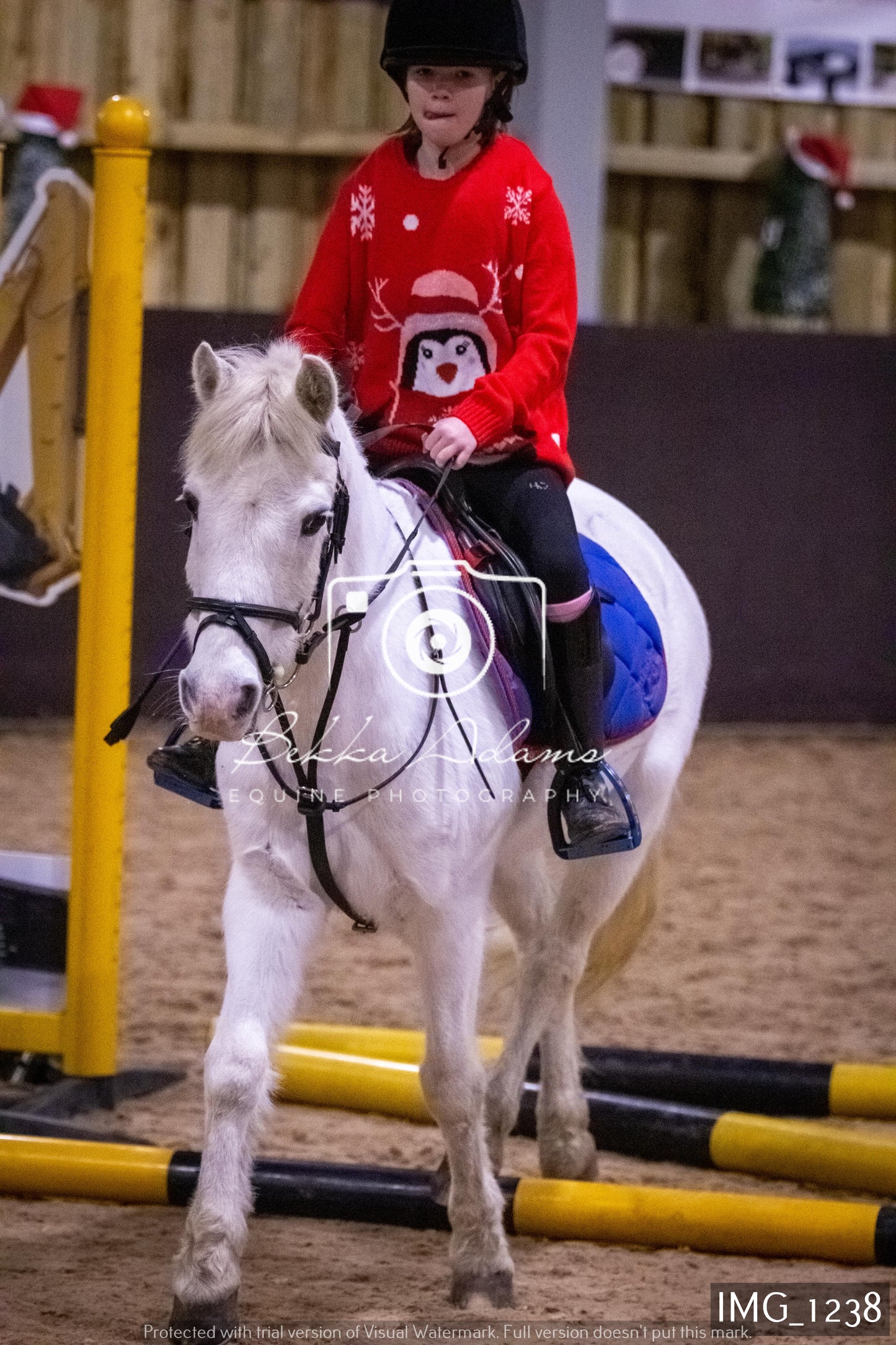 Home Farm New Year Showjumping 2nd January - Juniors