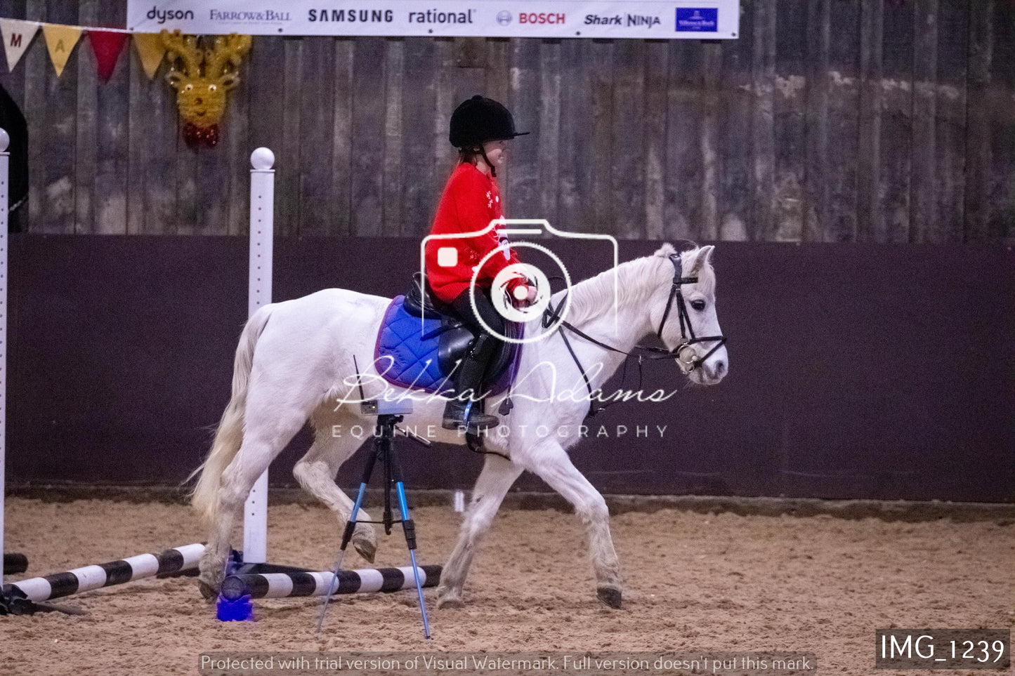 Home Farm New Year Showjumping 2nd January - Juniors