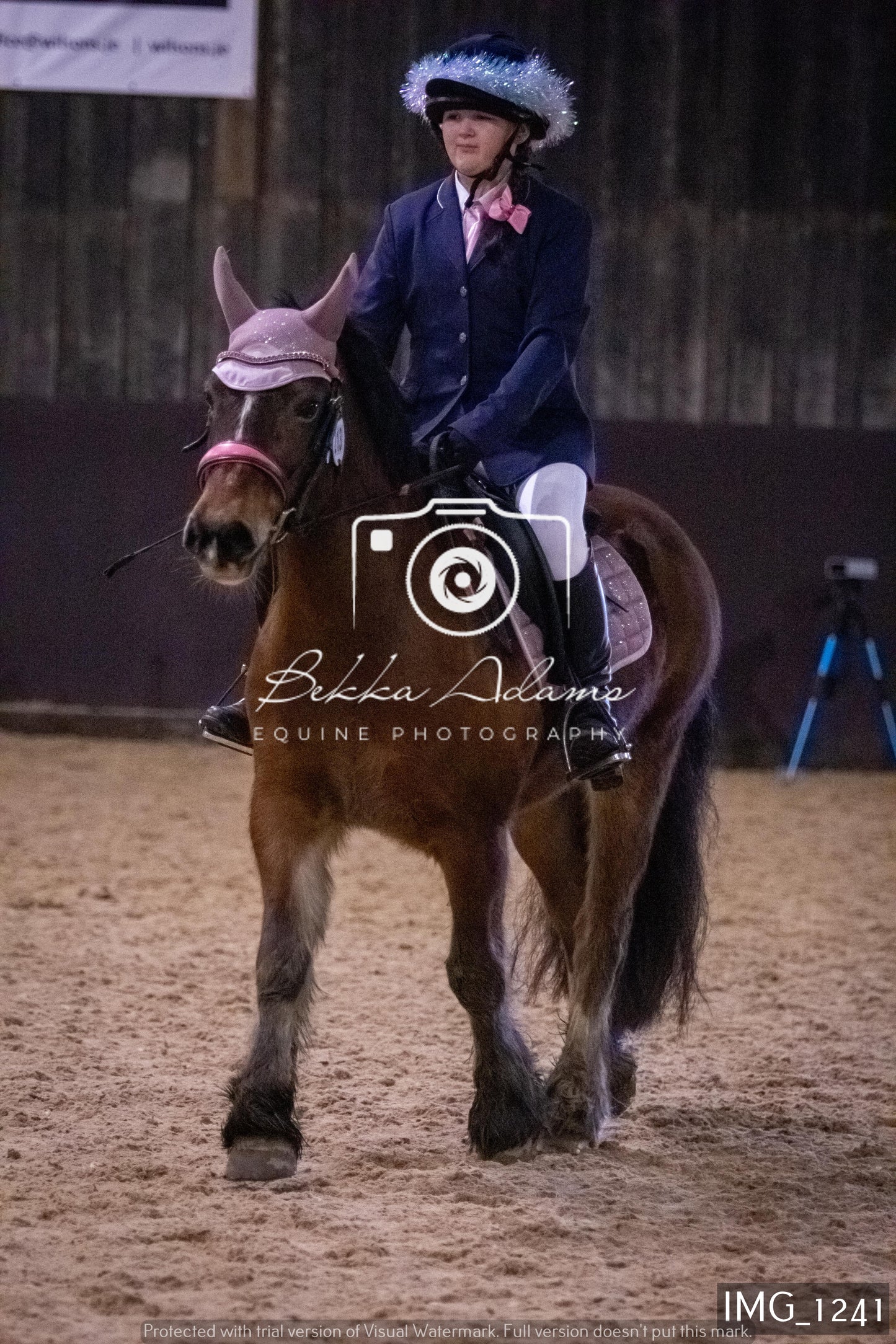 Home Farm New Year Showjumping 2nd January - Juniors