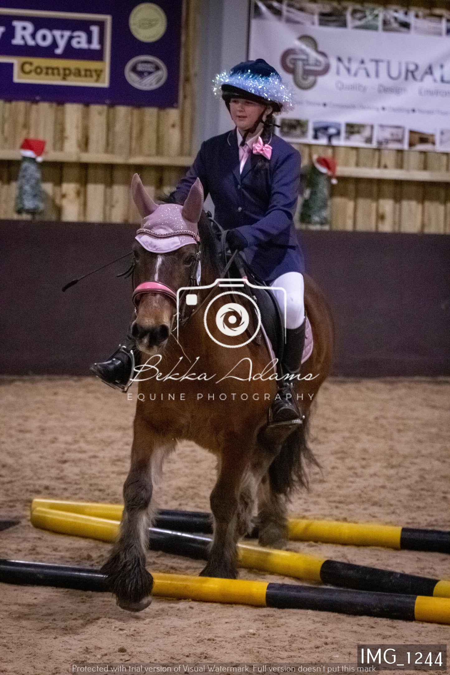 Home Farm New Year Showjumping 2nd January - Juniors
