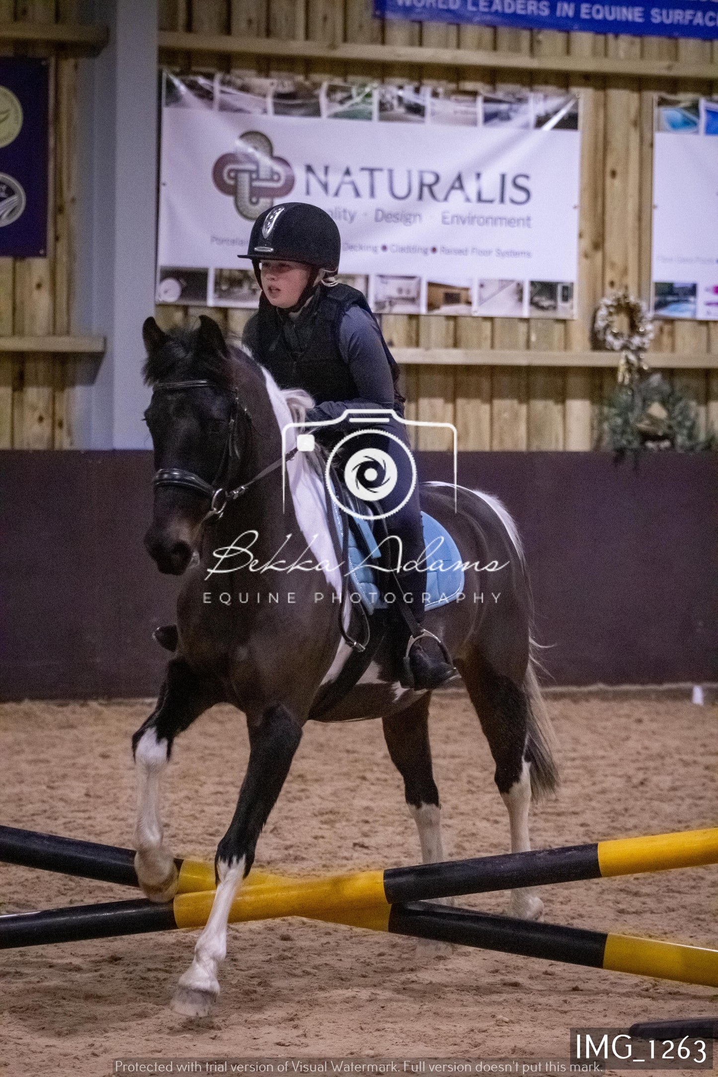 Home Farm New Year Showjumping 2nd January - Juniors