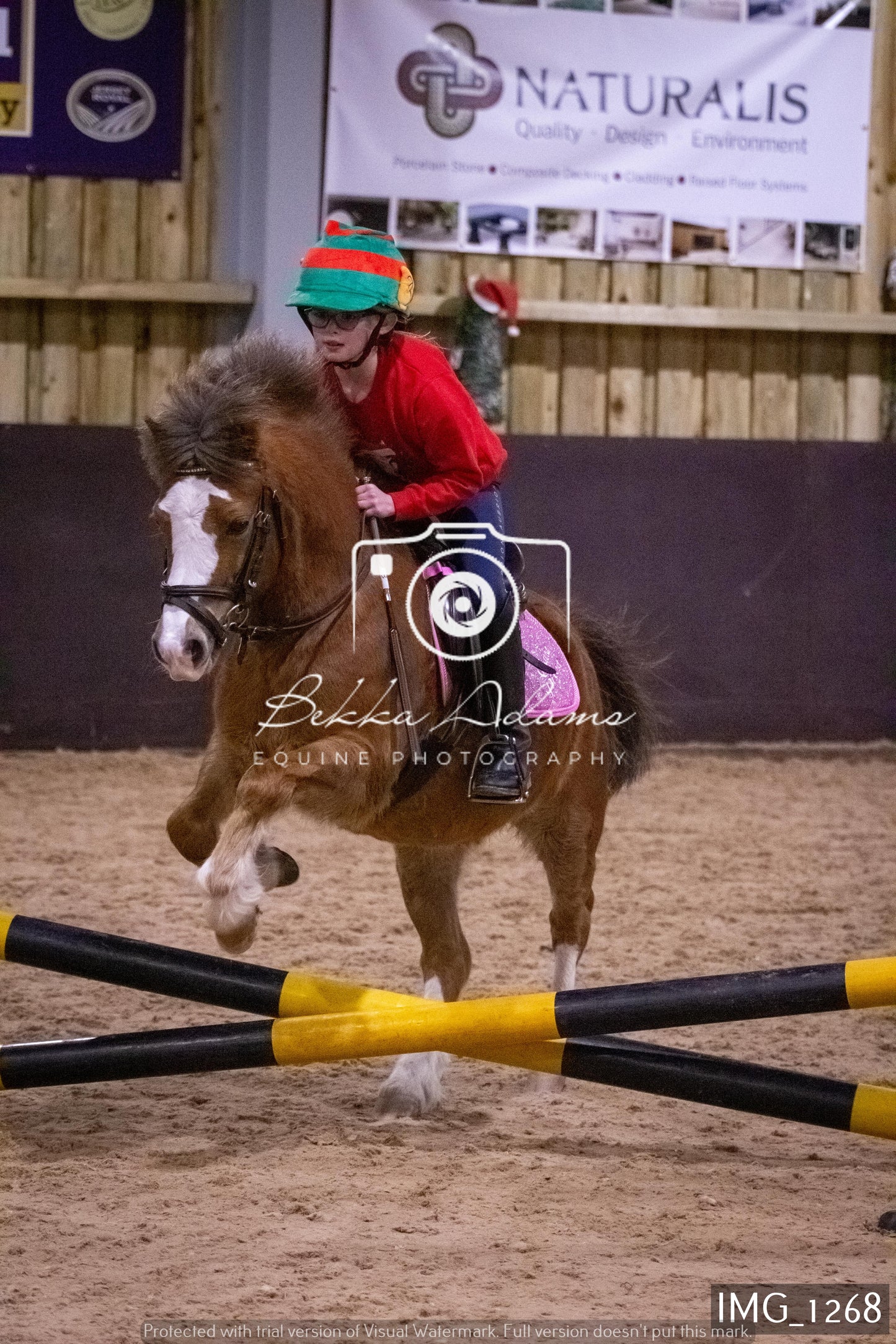Home Farm New Year Showjumping 2nd January - Juniors