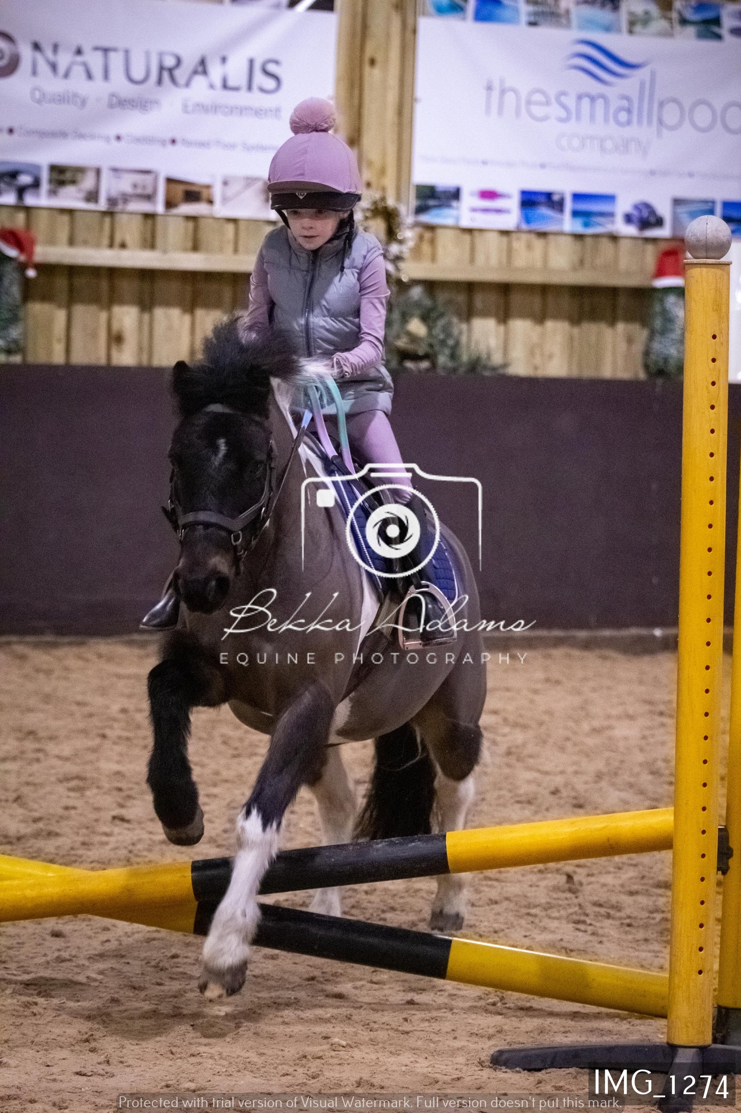 Home Farm New Year Showjumping 2nd January - Juniors