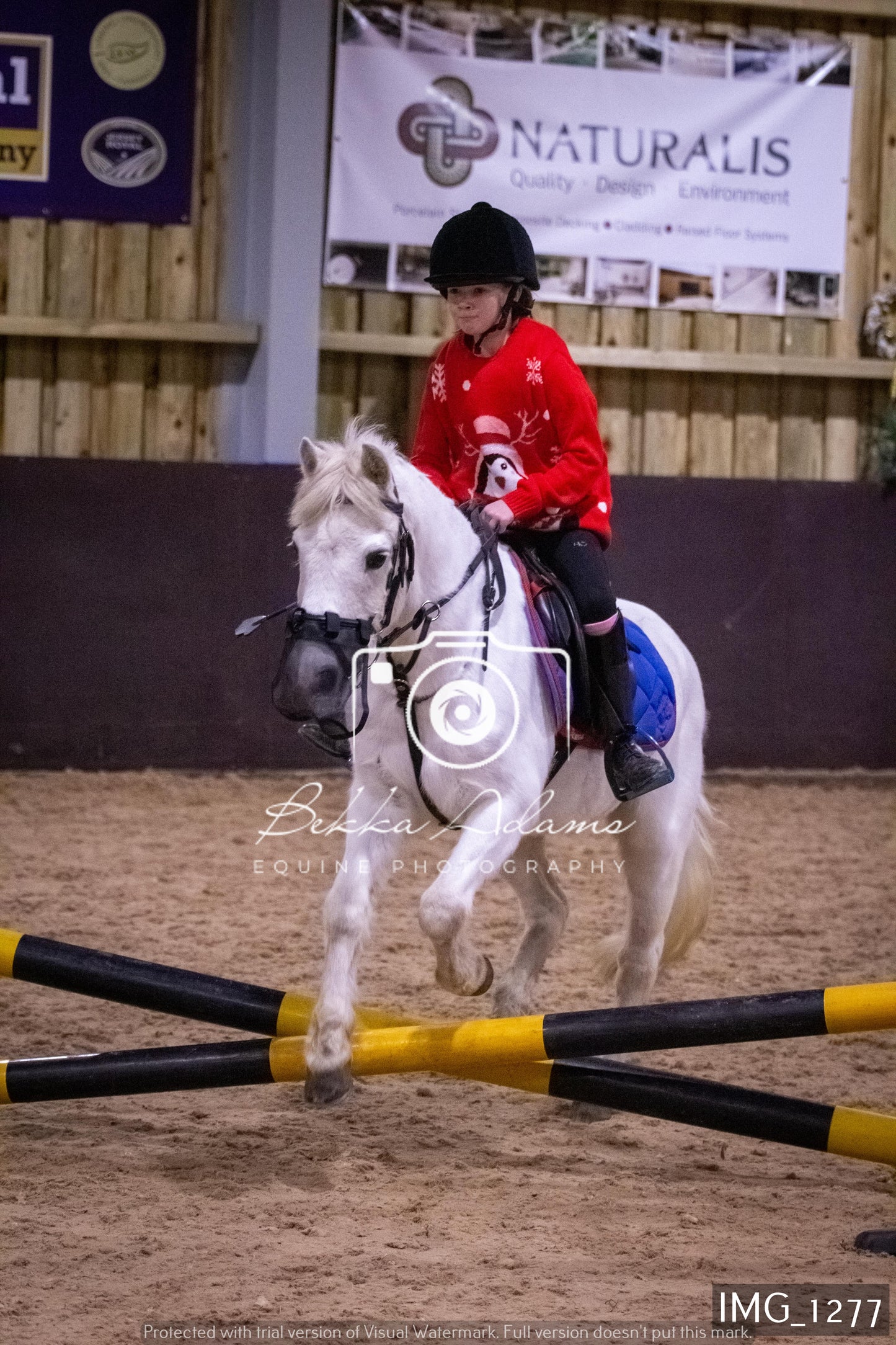 Home Farm New Year Showjumping 2nd January - Juniors