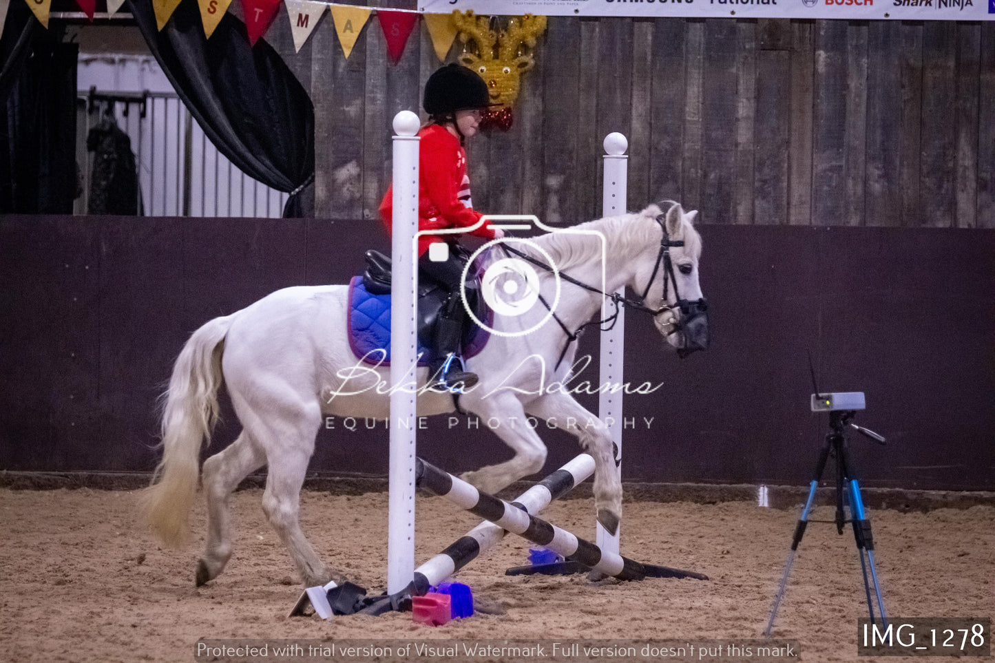 Home Farm New Year Showjumping 2nd January - Juniors