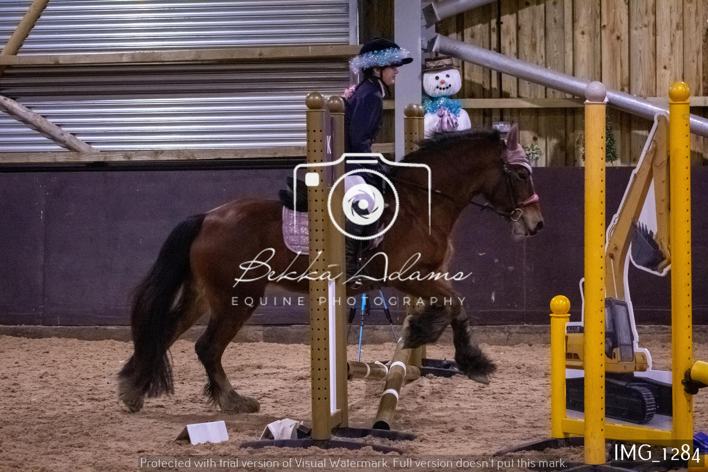 Home Farm New Year Showjumping 2nd January - Juniors