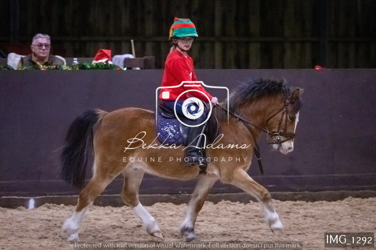 Home Farm New Year Showjumping 2nd January - Juniors