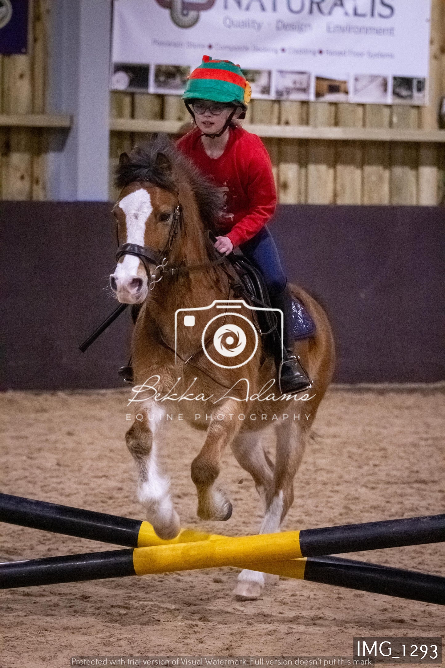Home Farm New Year Showjumping 2nd January - Juniors
