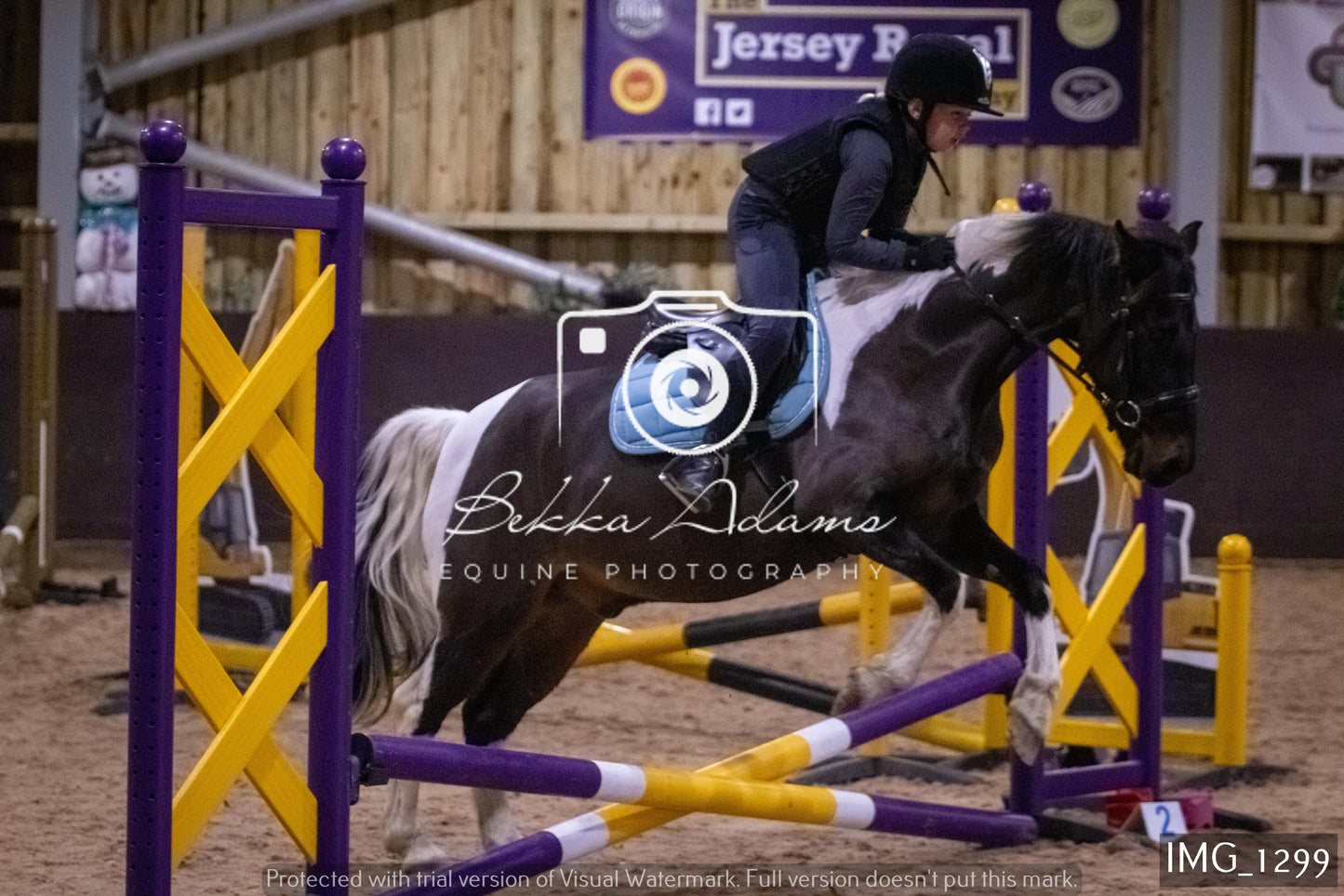 Home Farm New Year Showjumping 2nd January - Juniors