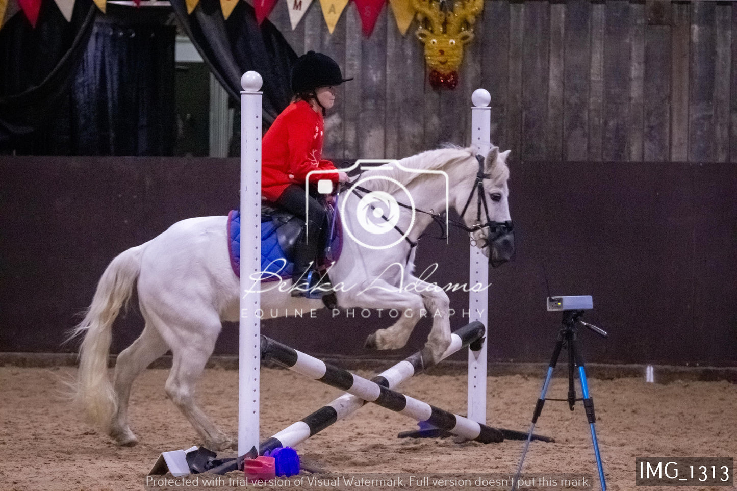 Home Farm New Year Showjumping 2nd January - Juniors
