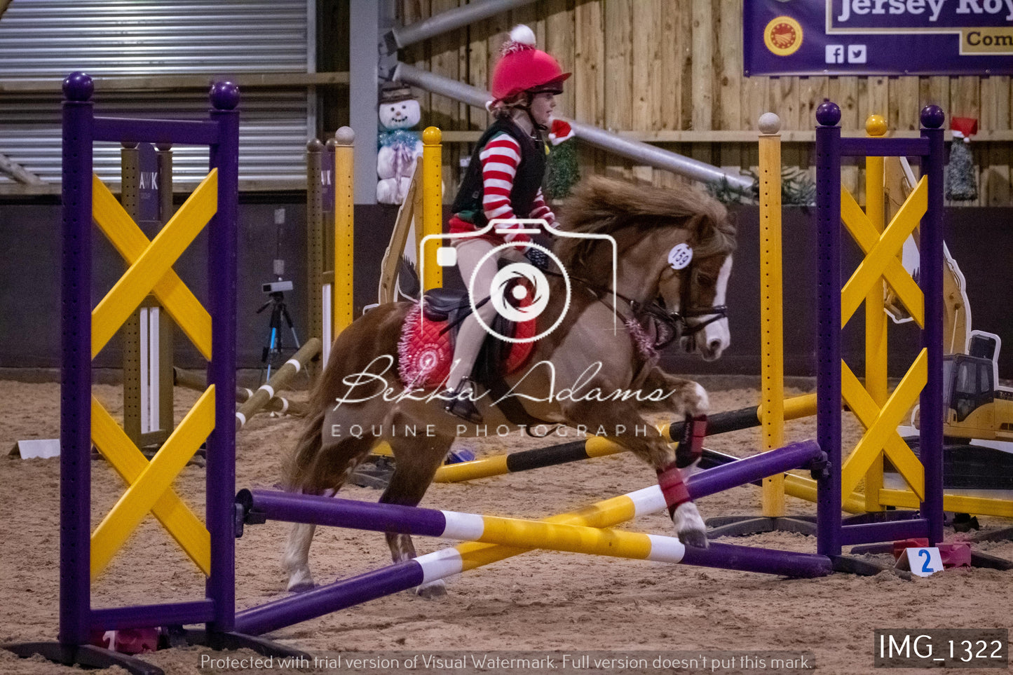 Home Farm New Year Showjumping 2nd January - Juniors