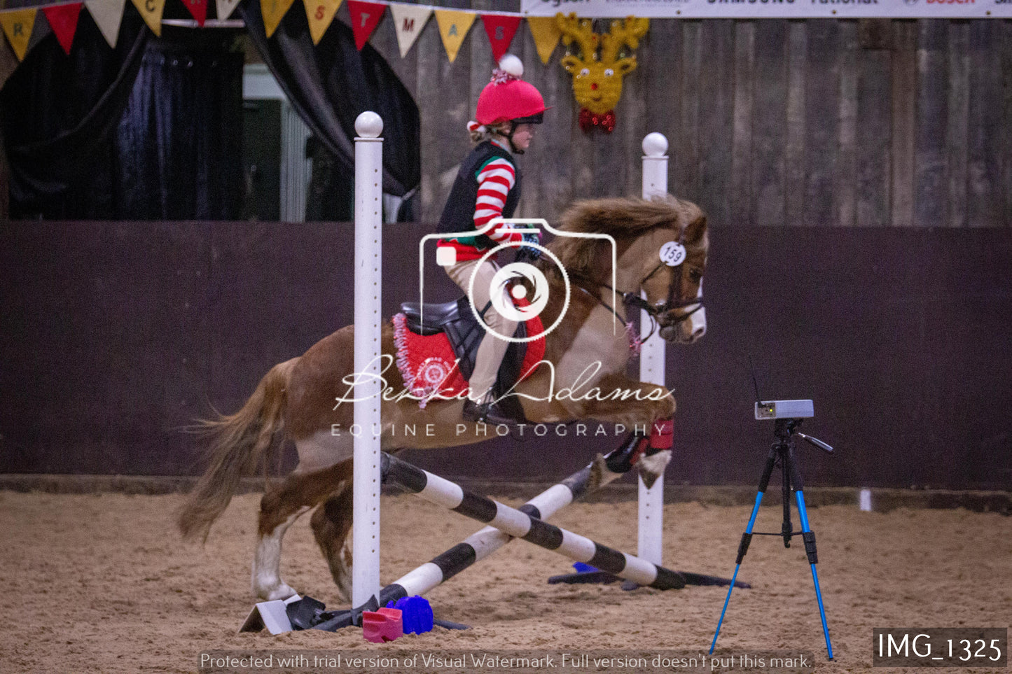Home Farm New Year Showjumping 2nd January - Juniors
