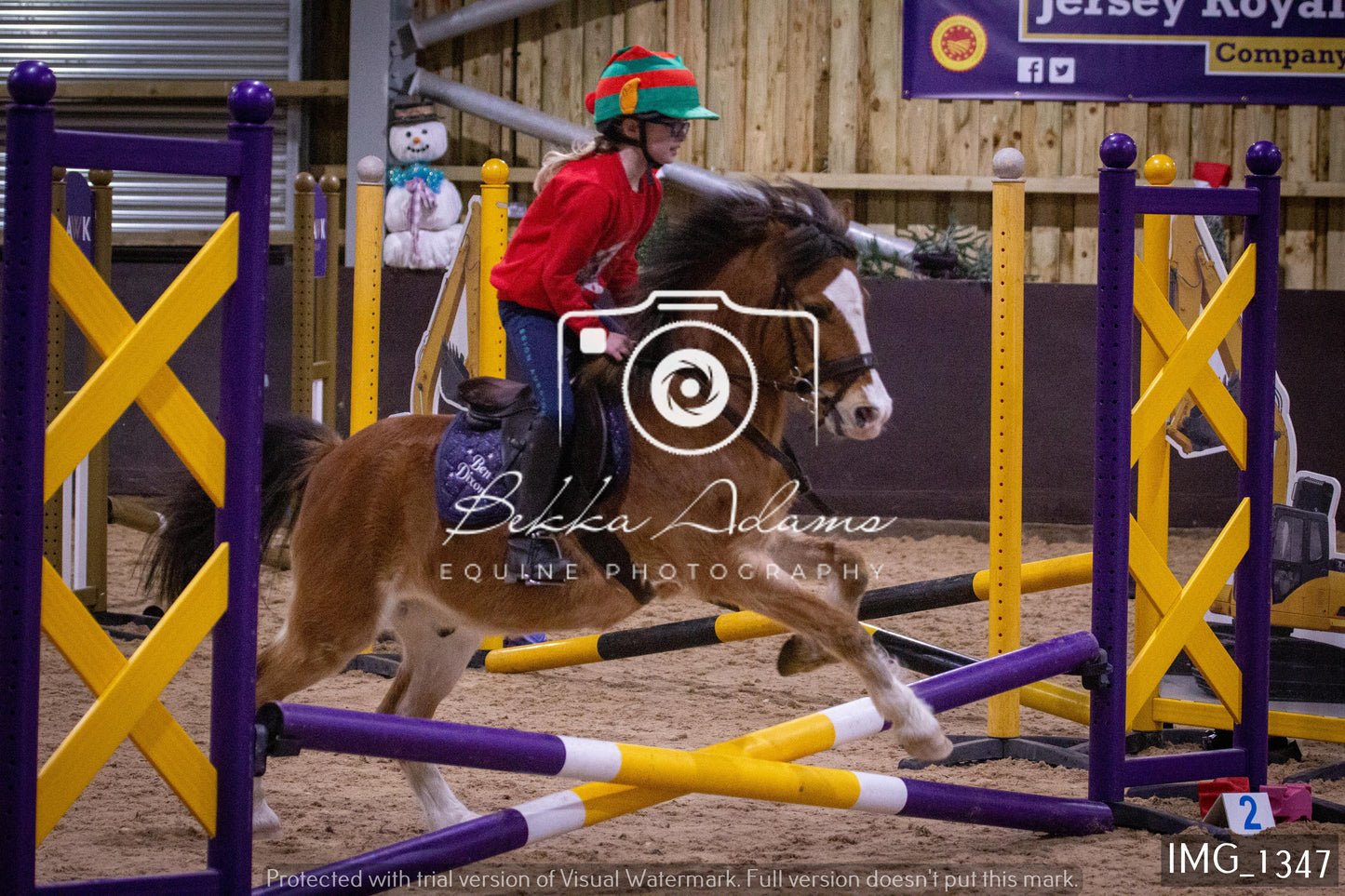 Home Farm New Year Showjumping 2nd January - Juniors